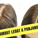 Rahasia Rambut Lebat dan Sehat: Nutrisi yang Tepat untuk Rambut Impianmu