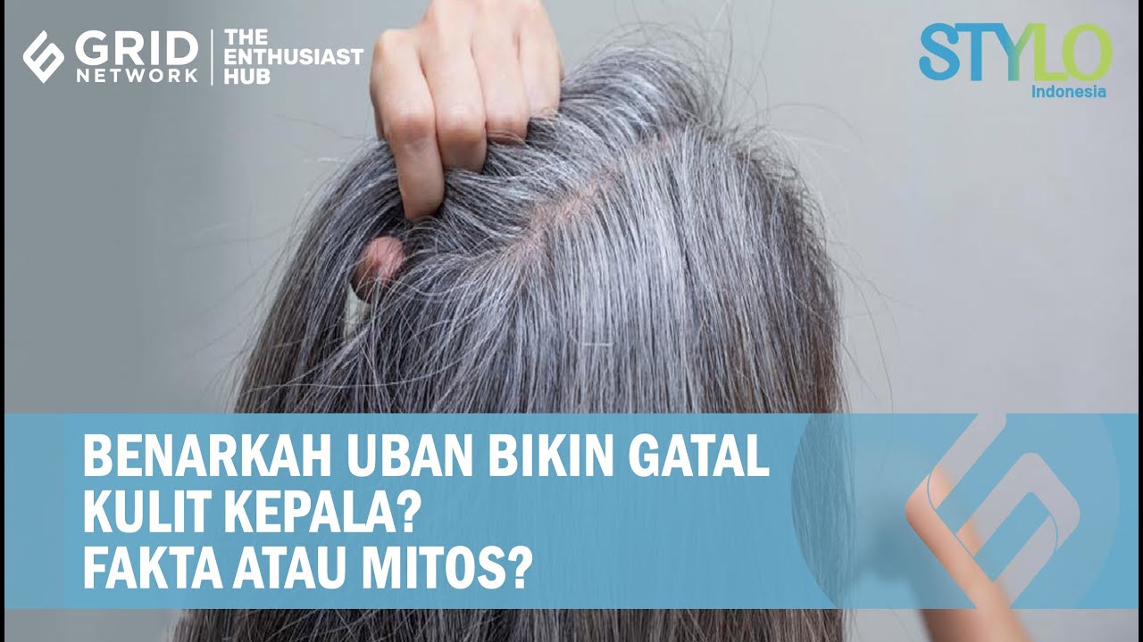 Rambut Putih, Gatal, dan Mitos yang Menyertainya