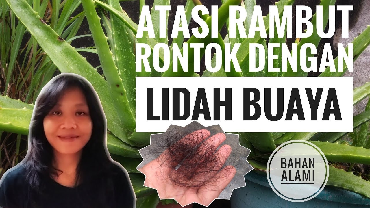 Testimoni: Cara Mengatasi Rambut Berketombe dengan Lidah Buaya