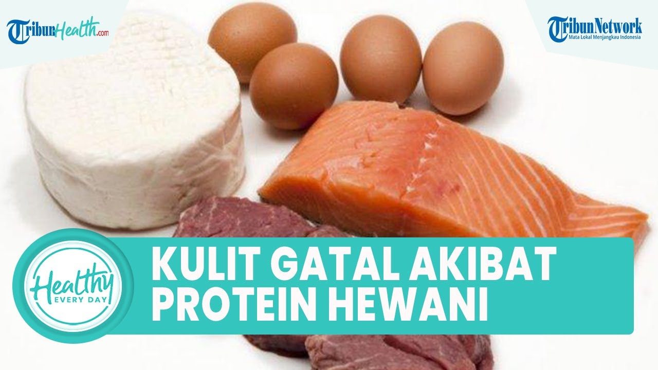 Pitak Membandel? Mungkin Kekurangan Protein Penyebabnya!