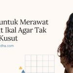 Rambut Kusut Tenang, Ada Solusinya!