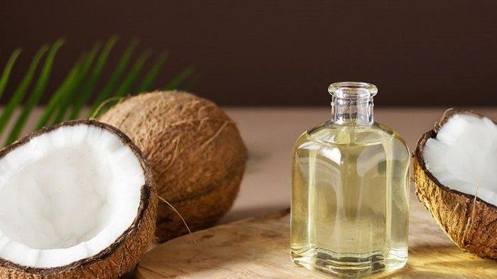 Cara Menghilangkan Kutu Rambut dengan Minyak Kelapa: Selamat Tinggal Kutu, Halo Rambut Sehat!