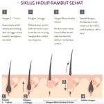 Rahasia Rambut Sehat dan Lebat: 7 Tanaman Herbal Ampuh Atasi Rambut Rontok