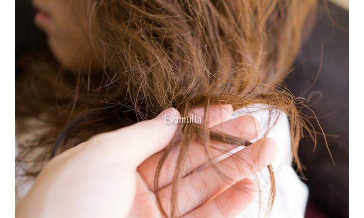 Rambut Kering Dan Bercabang Tenang Ini Solusinya