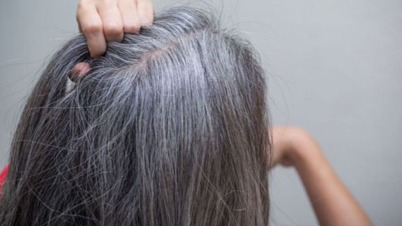 Apakah Rambut Uban Bisa Hilang? Menyingkap Rahasia di Balik Rambut Beruban