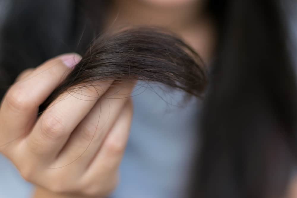 Rambut Kering: Mengapa Rambutmu Merasa Seperti Jerami?