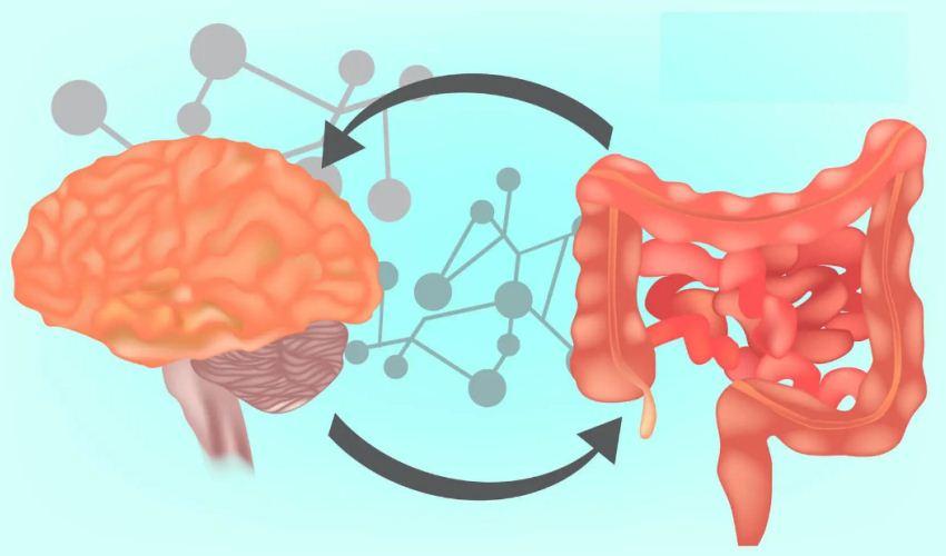 Rahasia Rambut Sehat: Terkuak dari Dalam Usus Anda!