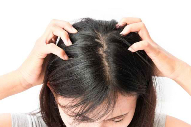 Rambutku, Sahabatku: Perjalanan Menuju Rambut Indah