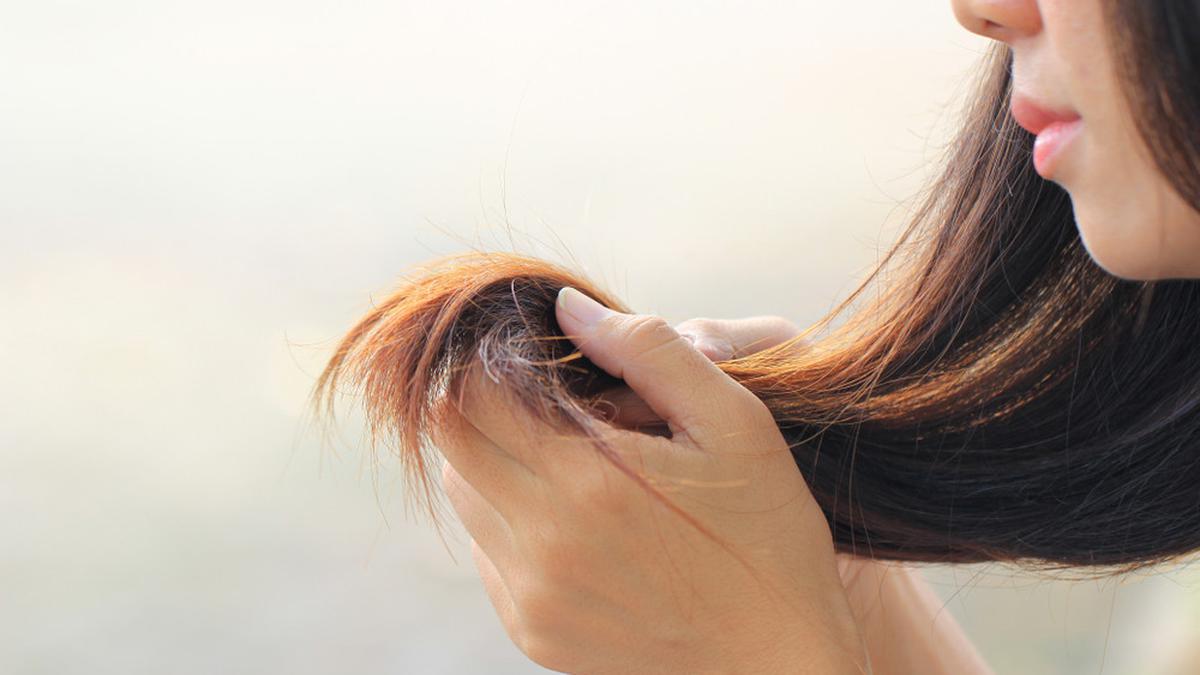 5 Penyebab Rambut Bercabang yang Jarang Disadari