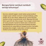 Masker Rambut dari Minyak Almond untuk Rambut yang Kuat dan Sehat