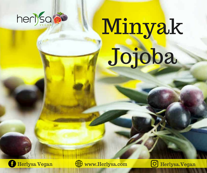 Rahasia Rambut Sehat Berkilau:  Mengenal Keajaiban Minyak Jojoba