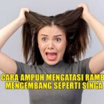 Cara Mengatasi Rambut Singa (Frizzy Hair) Tanpa Heat Styling