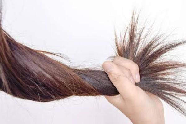 Rambut Anda Rusak Karena Produk Kimia? Begini Cara Memperbaikinya!