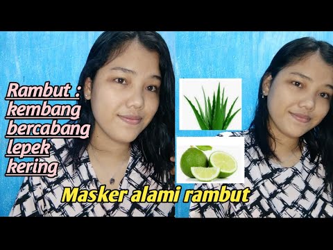 Rambut Kering dan Mengembang? 5 Masker Alami Ini Bisa Jadi Solusi!