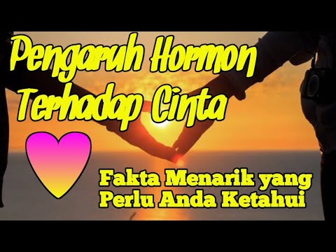 Pengaruh Hormon Terhadap Kerontokan Rambut: Apa yang Perlu Kamu Ketahui