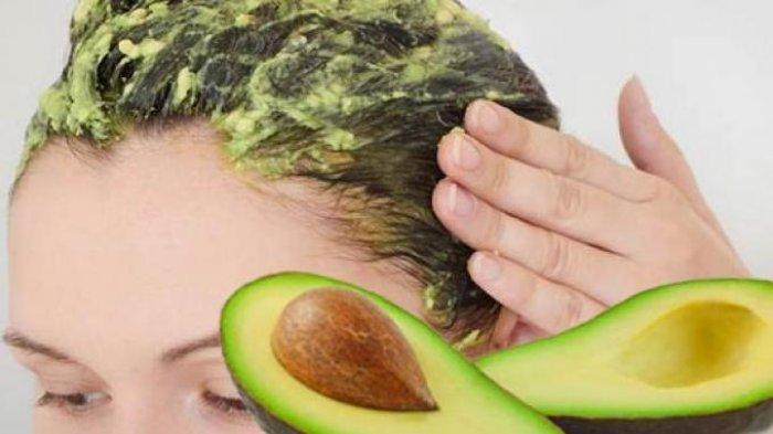 Rahasia Rambut Lembab dan Sehat dengan Masker Alpukat: Bye-Bye Rambut Kering!