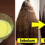 Cara Membuat Rambut Lembut dan Halus Secara Alami