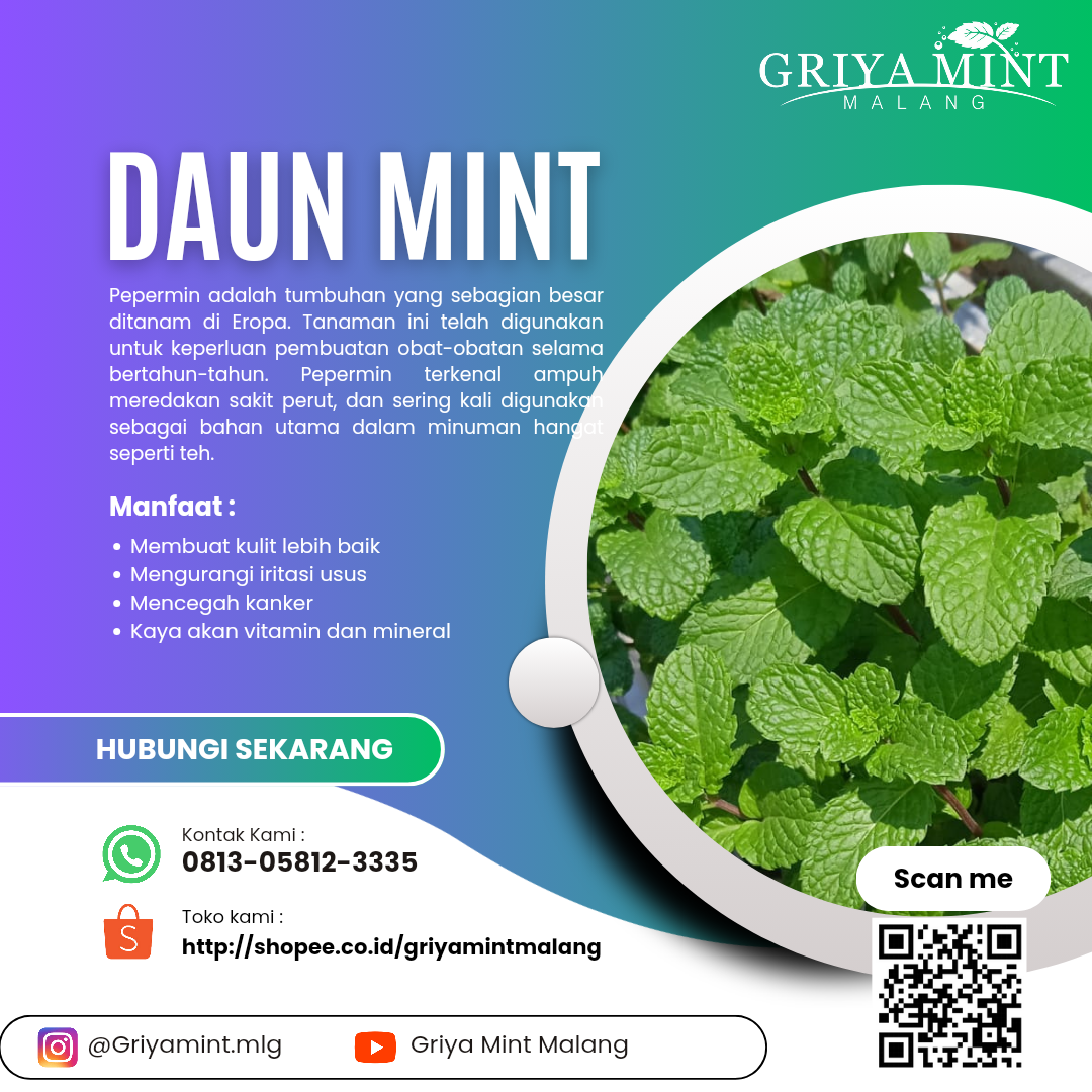 Masker Rambut Daun Mint: Rahasia Kulit Kepala Sehat dan Rambut Berkilau