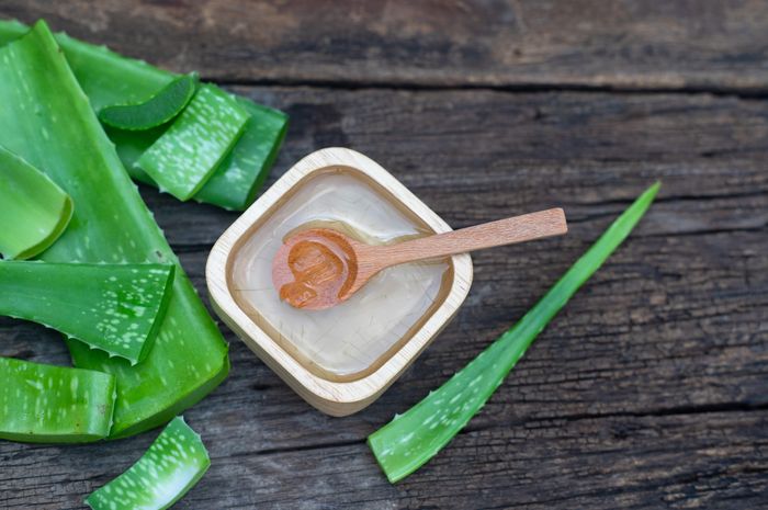 Rahasia Rambut Lembut dan Sehat dengan Masker Rambut Lidah Buaya untuk Rambut Kering